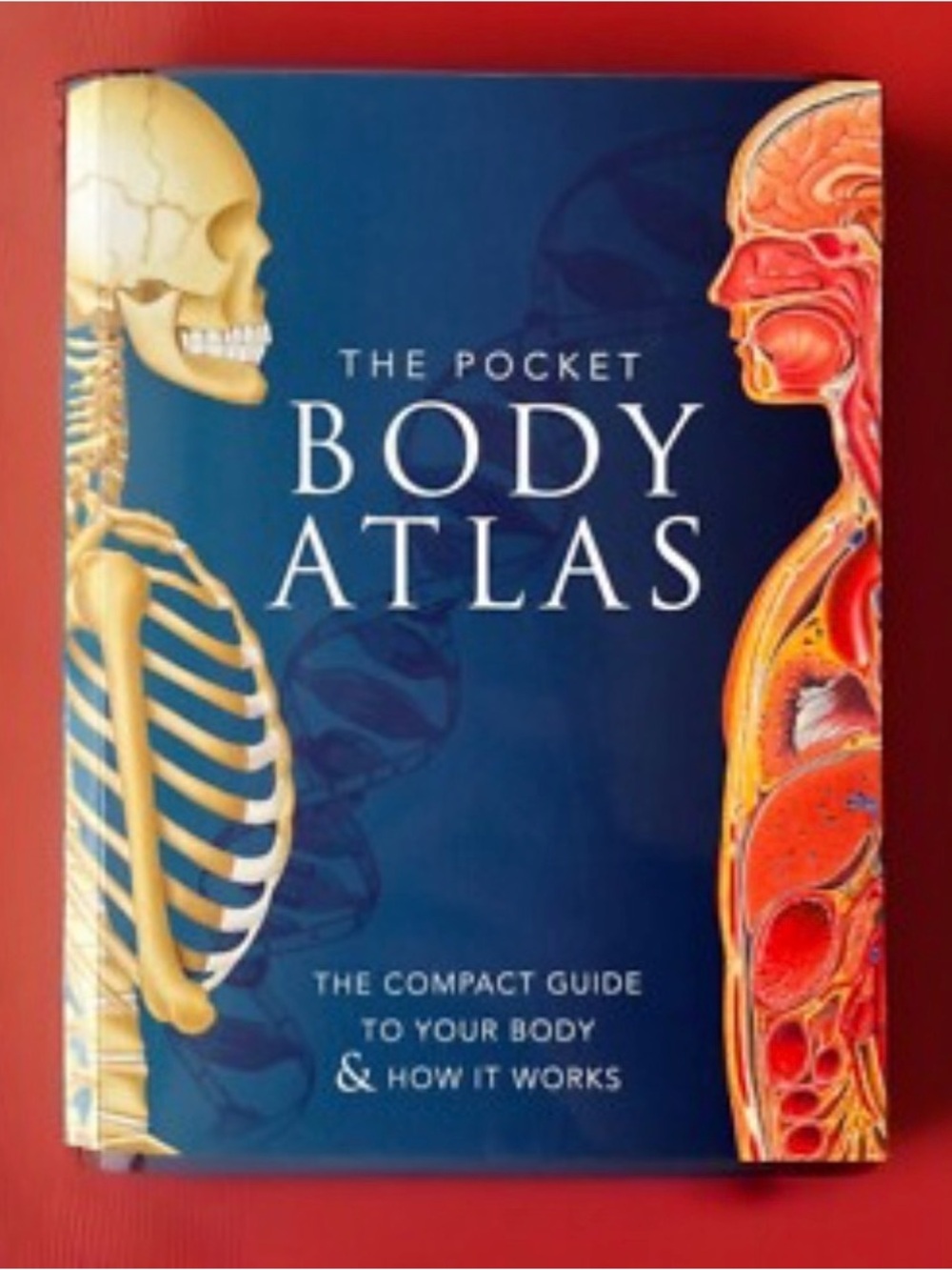 The Pocket Atlas the compact guide to your body& how it works paperback book